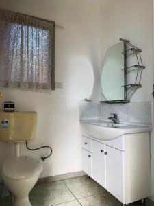 a bathroom with a toilet, sink, and mirror at Beaconsfield Lodge Motel in Beaconsfield