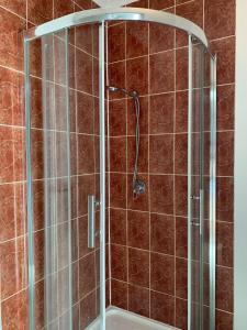 a shower with a glass door in a bathroom at Beaconsfield Lodge Motel in Beaconsfield