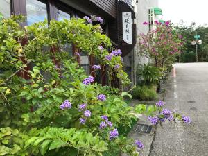 花蓮市的住宿－眠月樓民宿 ，建筑外的一束紫色花