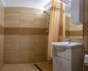 uma casa de banho com um lavatório e um chuveiro em Silentium Garden Apartman Sárvár em Sárvár