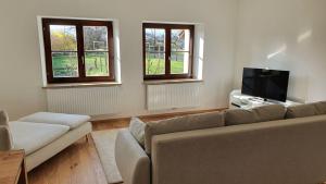 a living room with a couch and a tv and two windows at HAUS WALD und SEE - WASSERBURG in Wasserburg am Bodensee