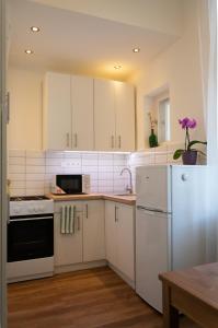 Kuchyňa alebo kuchynka v ubytovaní Silentium City Apartman Sárvár