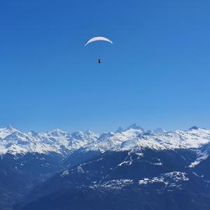 un pájaro volando en el cielo sobre montañas nevadas en Appartement Lens, en Lens