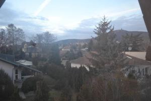 Blick auf eine Stadt mit Häusern und einem Baum in der Unterkunft Appartement in Nitra under the Zobor-Hill in Nitra