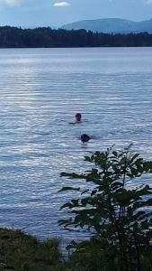 Fotografie z fotogalerie ubytování Tufte Gård v destinaci Ulefoss