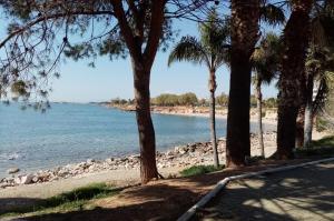 Fotografie z fotogalerie ubytování South Coast Voula Beach Sea RIVIERA Suite v Aténách
