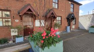 a pot of red flowers in front of a brick building at Liberty Townhouses in Dublin