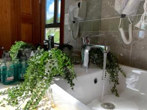 a bathroom sink with a faucet with a plant on it at Garden View Villa Đà Lạt - 8 Rooms in Da Lat