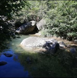 un cuerpo de agua con algunas rocas y árboles en Carrer Esparreguera, en Olot 25 fotos más