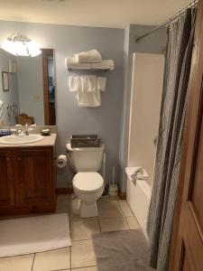 a bathroom with a toilet and a sink and a shower at Highland House 207 Slopeside, Village Area, Ski in out in Snowshoe
