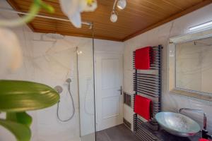 un bagno con doccia, lavandino e specchio di Garten Appartement Harmony a Finkenstein am Faaker See