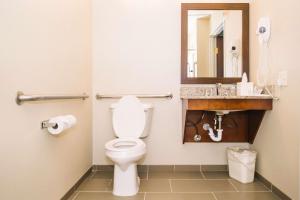 a bathroom with a toilet, sink, and mirror at Comfort Inn & Suites Near Custer State Park and Mt Rushmore in Custer