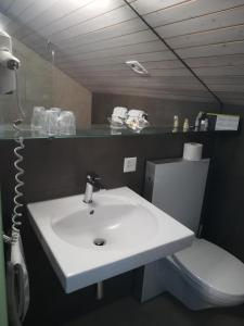 uma casa de banho com um lavatório branco e um WC. em Hotel Rhodannenberg AG em Glarus