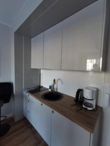 Kuchyň nebo kuchyňský kout v ubytování Apartment Paula