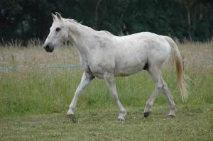 Άλλα ζώα σε αυτή η παραθεριστική κατοικία ή στη γύρω περιοχή +1 φωτογραφίες