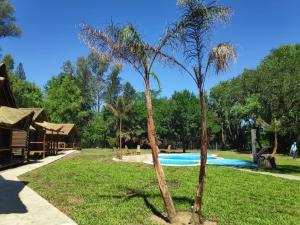 a couple of palm trees next to a swimming pool at el bosque la foret in Gualeguaychú