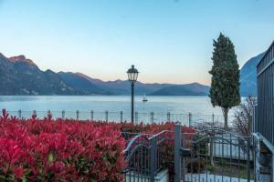 a park with flowers and a street light and a lake at Happy Guest Apartments - Feel The Lake in Riva di Solto