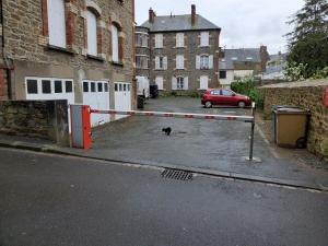 un gato sentado en un estacionamiento junto a un coche en APT bord de Mer, hypercentre Dinard, Parking prive en Dinard