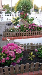 un jardín con flores rosas y un banco de madera en Casa Cascabelia. Cerca de Santillana del Mar, en Valles