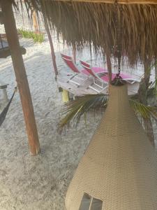 Bilde i galleriet til Glamping UVA Playa i San Onofre