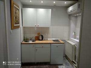 Kuchyňa alebo kuchynka v ubytovaní Villa Lucia - Apartments&Rooms
