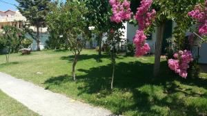 a group of trees with pink flowers in a yard at Ampeli Apartments in Georgioupolis