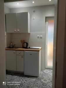 Kuchyňa alebo kuchynka v ubytovaní Villa Lucia - Apartments&Rooms