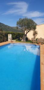 Gallery image of finca son gallina con piscina y jardín en Sa Pobla, ideal para 6 personas in La Puebla