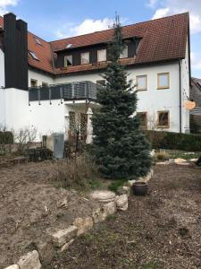 a christmas tree in a yard in front of a house at Hotel Neue Krone in Markt Erlbach