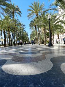 a city street with palm trees and palm trees at Hotel BH San Francisco in Alicante