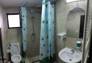 een badkamer met een wastafel, een douche en een toilet bij Casa de vacanță Perla Colibitei in Colibiţa