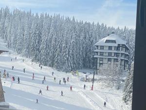a group of people skiing down a snow covered slope at Teddy Apartman Kula Konaci in Kopaonik