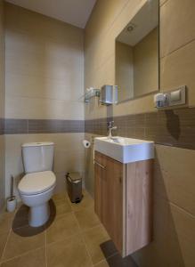 a bathroom with a toilet and a sink and a mirror at Dúplex a 25m del telecabina de La Massana (PAL) 644 in La Massana