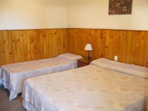 two beds in a room with wooden walls at Amanitas Posada in Villa Carlos Paz