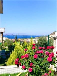 a bunch of red roses on a balcony with a view of a city at magnifique villa avec piscine prive kusadasi in Kuşadası