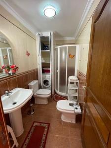 W łazience znajduje się umywalka, toaleta i prysznic. w obiekcie Apartamento Neptuno playa 17 w mieście Puerto de Santiago