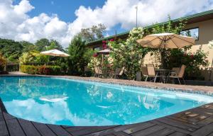 a swimming pool with chairs and an umbrella at Hotel Margarita and Tour Operator Drake Bay in Drake