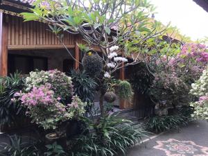 Zahrada ubytování Leo Home Stay