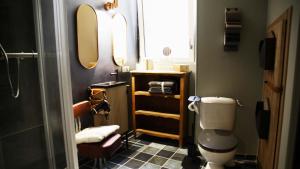 a bathroom with a toilet and a mirror at La Tannerie, centre historique, fibre, ESS, rez-de-chaussée, BedinShop in Romans-sur-Isère