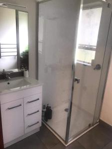een badkamer met een douche en een wastafel bij Harbour Side Views in Dunedin