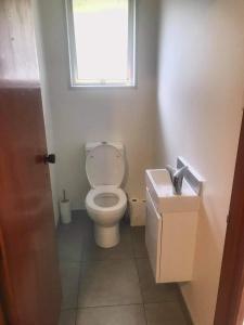 een badkamer met een toilet, een raam en een wastafel bij Harbour Side Views in Dunedin