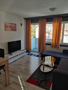 a living room with a couch and a flat screen tv at Venice Apartment in Interlaken