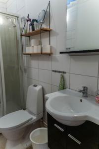 a bathroom with a sink and a toilet and a shower at Mysig takvåning med balkong in Eskilstuna