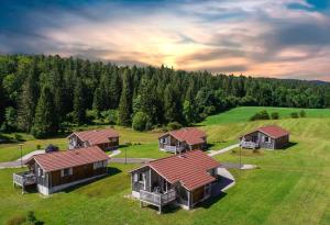 eine Luftansicht eines Hauses auf einem Feld in der Unterkunft Chalets de Trémontagne 3 étoiles in Prénovel