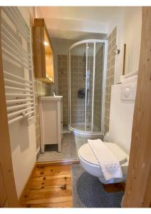 uma casa de banho com um WC e um chuveiro em Auberge De La Foret em Auris