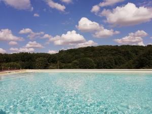 a pool of blue water with trees in the background at LA HAUTE FORGE - B&B in Thoiré-sur-Dinan