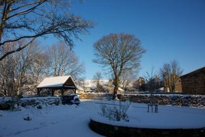 Millbrook talvel
