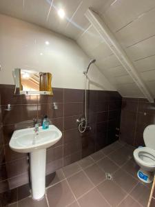 Vonios kambarys apgyvendinimo įstaigoje Guest House IBERIA