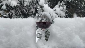 Dimatis during the winter