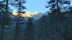 Blick auf einen Berg mit Bäumen im Vordergrund in der Unterkunft Dimatis in Ágios Dimítrios